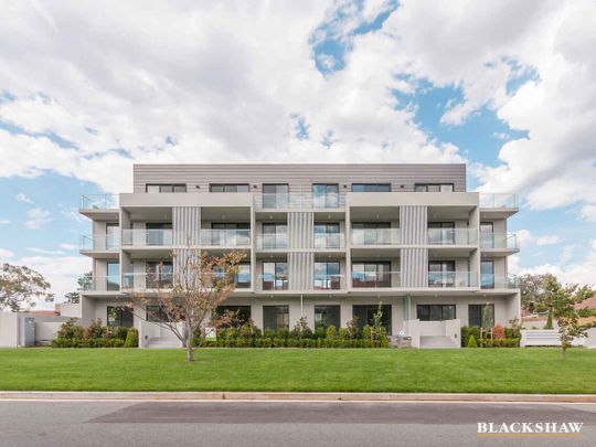 Light and bright two bedroom apartment in Kingston - Photo 1