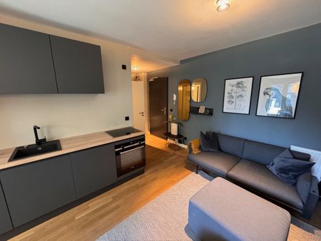 Mitte: Köpenicker Str: LUXUS 2-Zi-Whg mit 55 m² inkl. RIESEN SÜD Terrasse - per SOFORT zu VERMIETEN - Photo 2