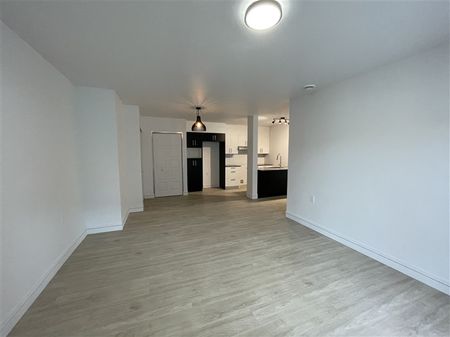 Magnifique 4 1/2 style condo libre en juillet situé au 908 rue Lamarche app 105, Sherbrooke - Photo 5