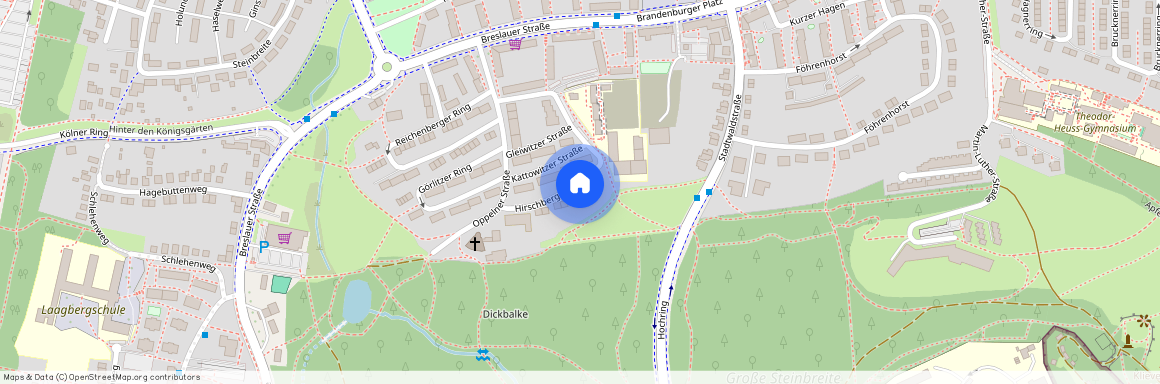 Hirschberger Str. 6, 38440 Wolfsburg