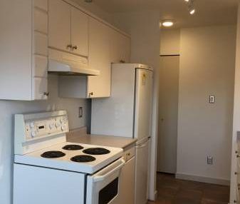 Spacious 1 BR Across From Crystal Pool Available Nov 15th or Dec 1st - Photo 2