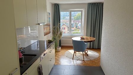 2½ Zimmer-Wohnung in Wädenswil (ZH), möbliert, auf Zeit - Photo 3