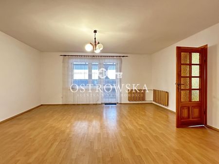 Mławski, Mława, Poświętna - Zdjęcie 3