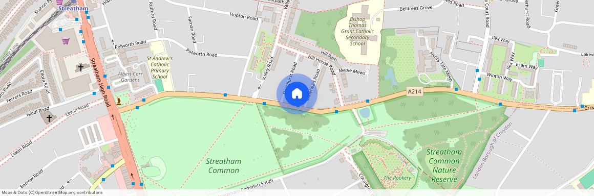 Streatham Common North, London, SW16