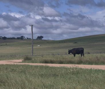 Cottage 5/116 Montavella Road - Photo 5