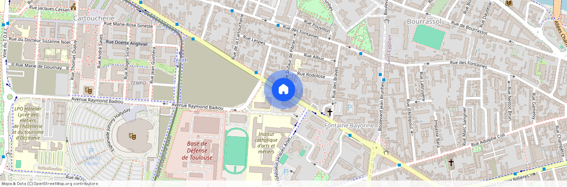 TOULOUSE - SAINT MARTIN DU TOUCH