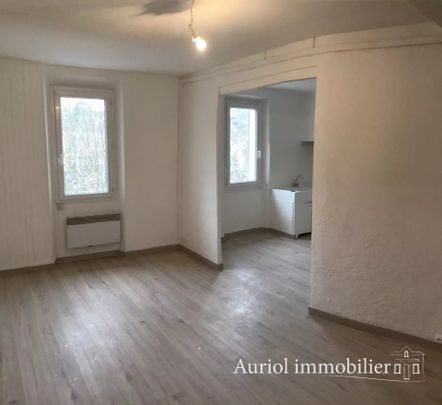 Location Appartement 3 pièces 49m² AURIOL 13390 - Photo 1