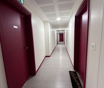 Appartement / Offre 59165835 - Photo 1