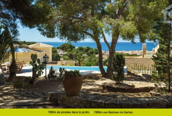 Sunny Hill WINTER OFFER