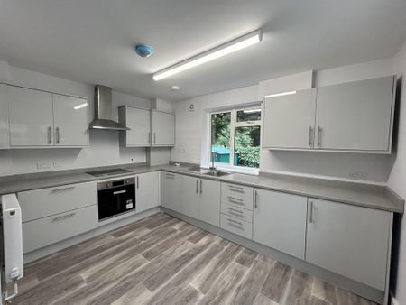 3 bedroom semi-detached house to rent - Photo 3