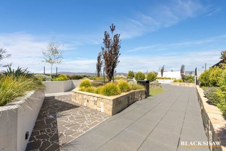 934/335 Anketell Street, Greenway ACT 2900 - Apartment For Rent | Domain - Photo 2