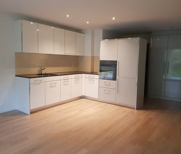 2.5 Zimmer, 47 m², EG - Foto 2