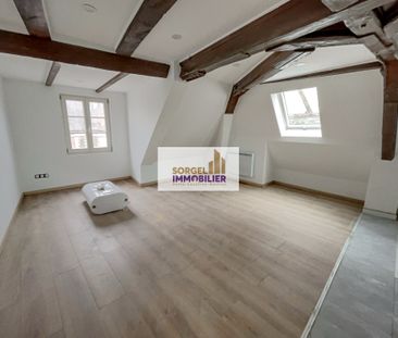 Location Appartement 1 pièce 22m² SELESTAT 67600 - Photo 6