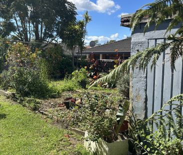 Tauranga South Convenience - Tauranga South - Photo 3