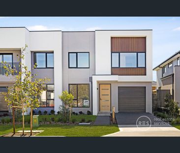 146 Ross Street, Glebe, NSW 2037 - Photo 6