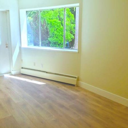 Stylish, refinished 1 bedroom Suite - Photo 1