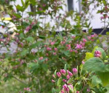 Skogsvägen 3 - Photo 3