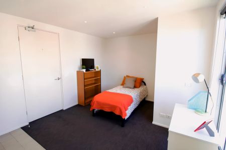 Standard Studio - Photo 2