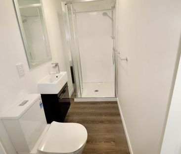 Aro Valley - Photo 6