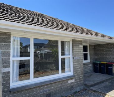 Refurbished two bedroom unit on Armagh - Photo 4