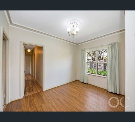 17 Olive Road, Stepney, SA 5069 - Photo 3