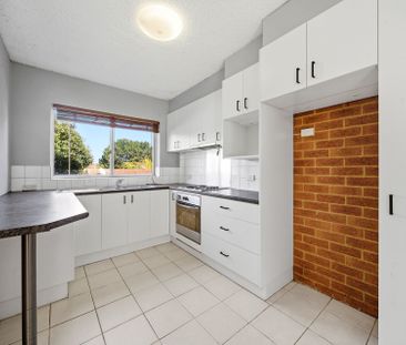 Renovated Two Bedroom Unit - Photo 4