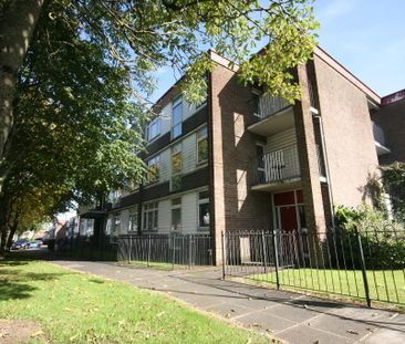 208e Upper Lisburn Road, Finaghy, Belfast, BT10 0LA - Photo 6