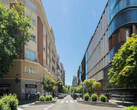 Calle de Lagasca, Madrid, Community of Madrid 28006 - Photo 3