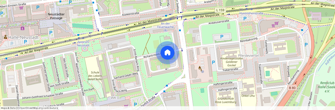 Richard-Horn-Straße 1, 06124, Halle