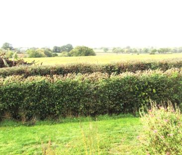 3 bed Bungalow - To Let - Photo 3