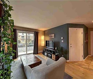 4 1/2 - Longueuil (Saint-Hubert) - 1 790 $/mois - Photo 1