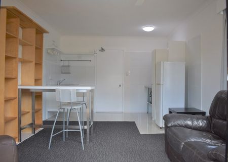 Fully Furnished with Electricity Included - Photo 3