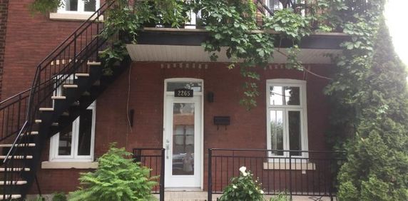 7 1/2 - Montréal (Hochelaga / Maisonneuve) - $2 575 /mois - Photo 2