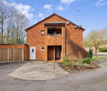 Studio to rent - Photo 6