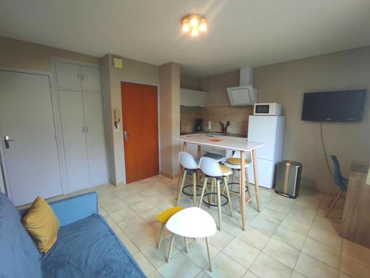 Location Appartement 2 pièces 31m² MILLAU 12100 - Photo 1