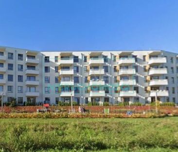 Grodzisk Mazowiecki - Фото 5