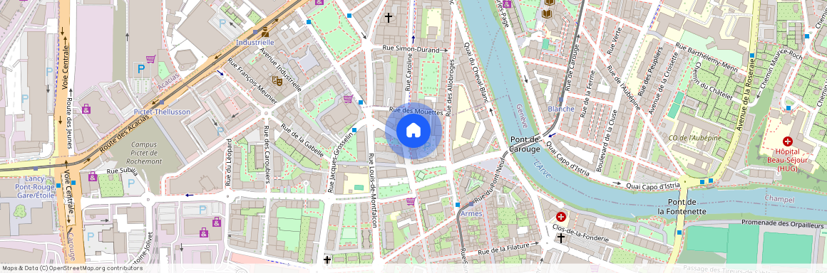 Rue Caroline 49, 1227 Carouge