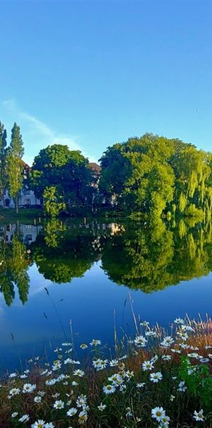 Seminariegatan 15 - Photo 1