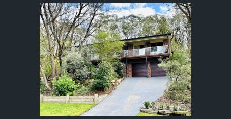 Immaculate is an understatement - Photo 2