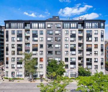 Appartement à louer - Montréal (Ville-Marie) (Village) - Photo 3