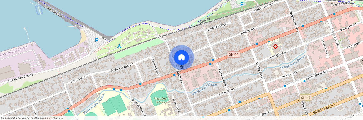 119 Hine Street, Lynmouth, New Plymouth