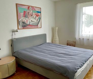 Für Katzenliebhaber in Rüschlikon (ZH), möbliert, auf Zeit - Foto 3