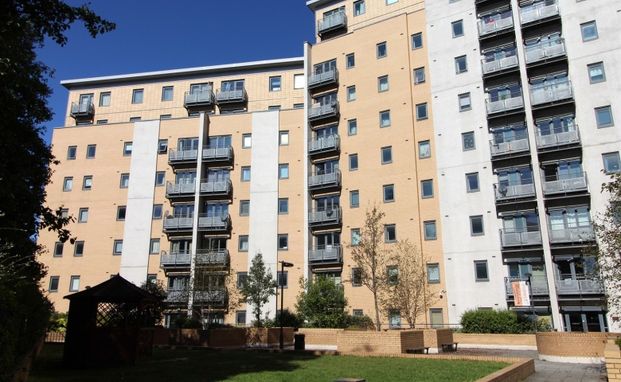 Aspect 14, LS2 - Photo 1