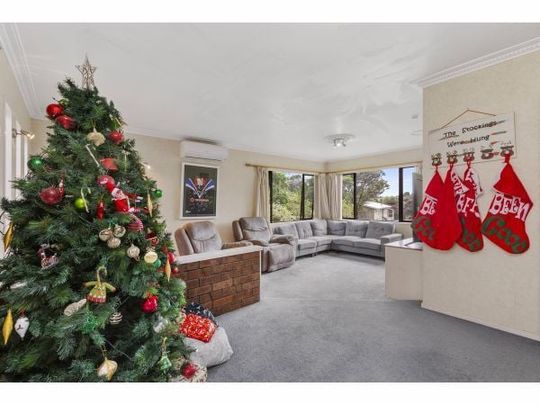 Large family home + double garage - Photo 1