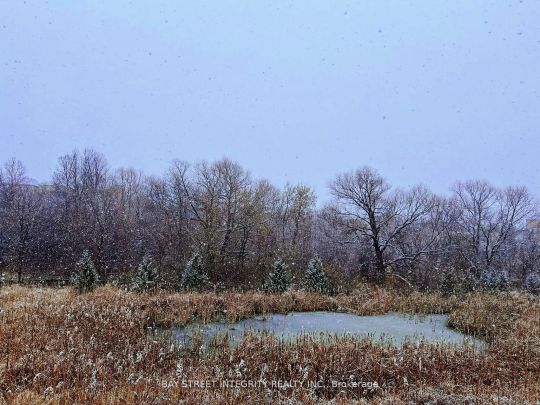 Detached Home For Lease | N9237784 - Photo 1