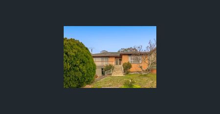 Cozy 3 Bedroom, 1 Bathroom Rental in an Ideal Location! - Photo 4