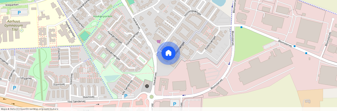 Apisvej 12, 8381 Tilst