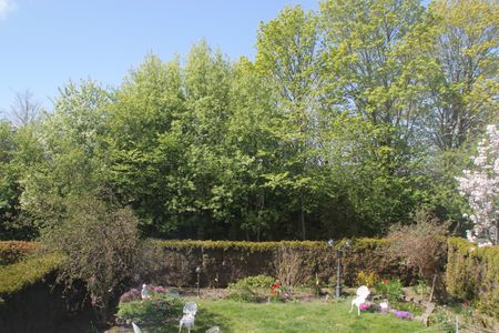 Hambovägen, Staffanstorp - Photo 4