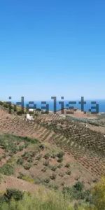 Alquiler de casa rural en Cajiz s/n - Photo 4
