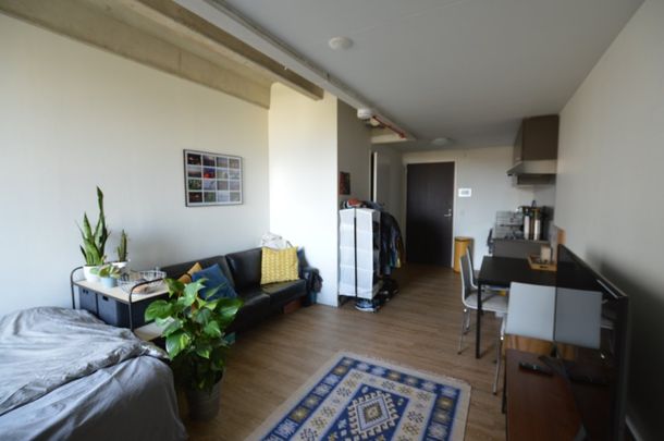 Studio, Burgemeester Drijbersingel - Photo 1